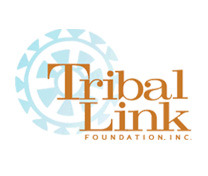 logo_small_logo_triballink