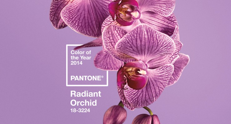 _SubRosa_Pantone-ColorOfTheYear_960px_517px01