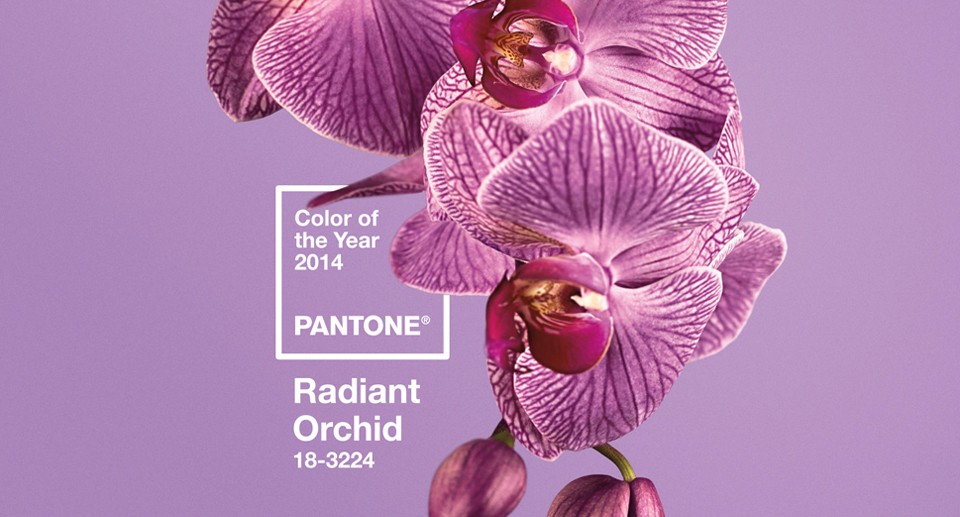 _SubRosa_Pantone-ColorOfTheYear_960px_517px01